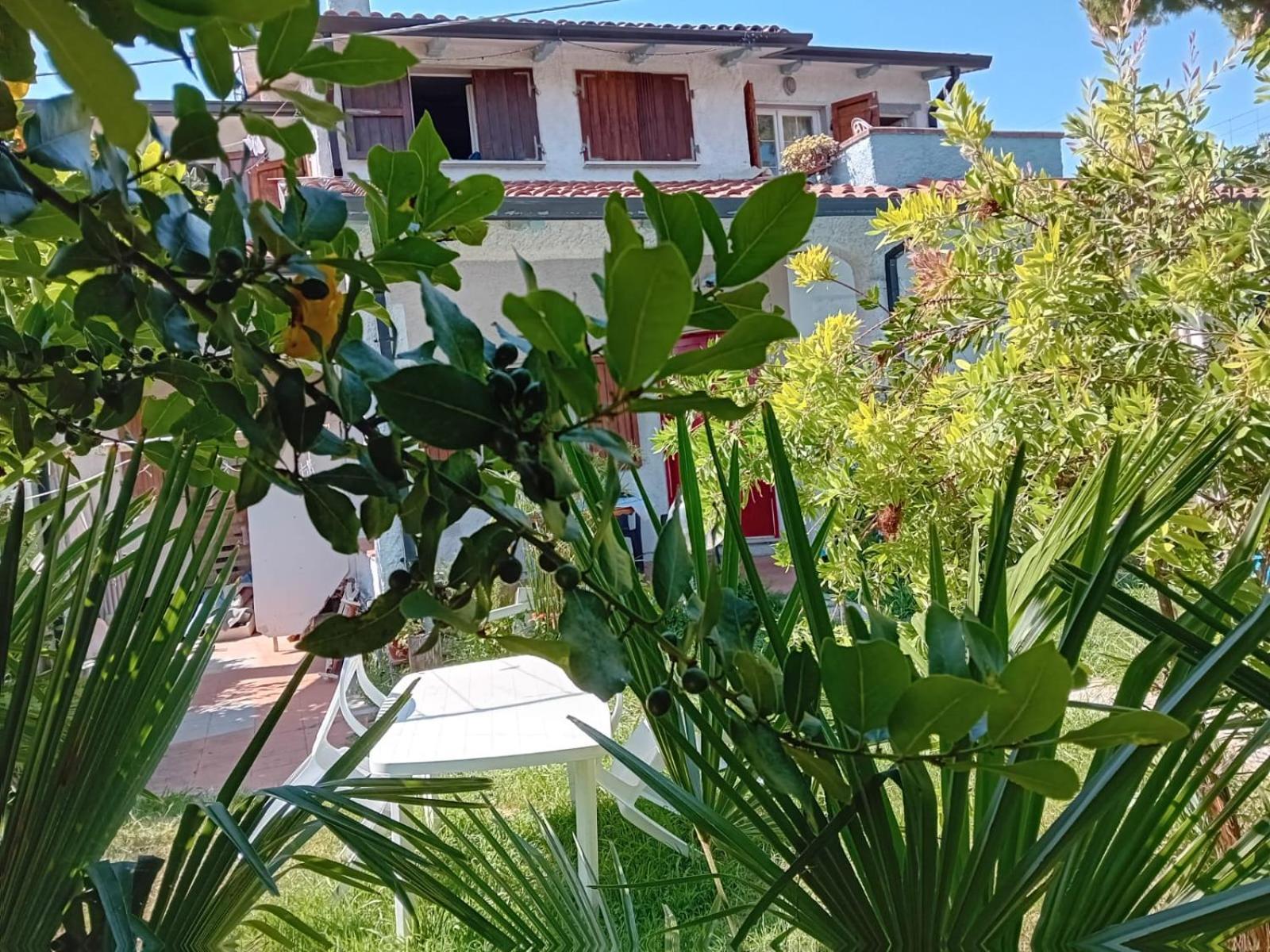 Sogno Vacanze Apartment มาสซา ภายนอก รูปภาพ