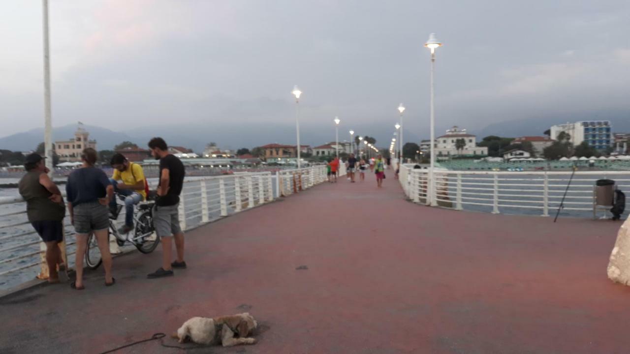 Sogno Vacanze Apartment มาสซา ภายนอก รูปภาพ